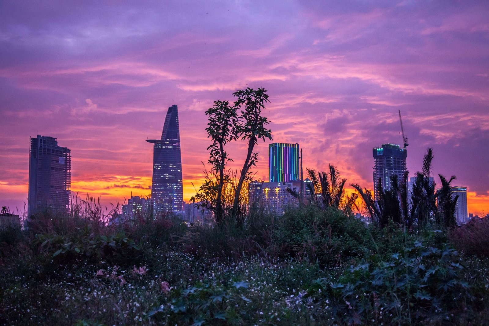 A sunset view of the Ho Chi Minh City skyline from an overgrown rooftop, the Bitexco tower at center