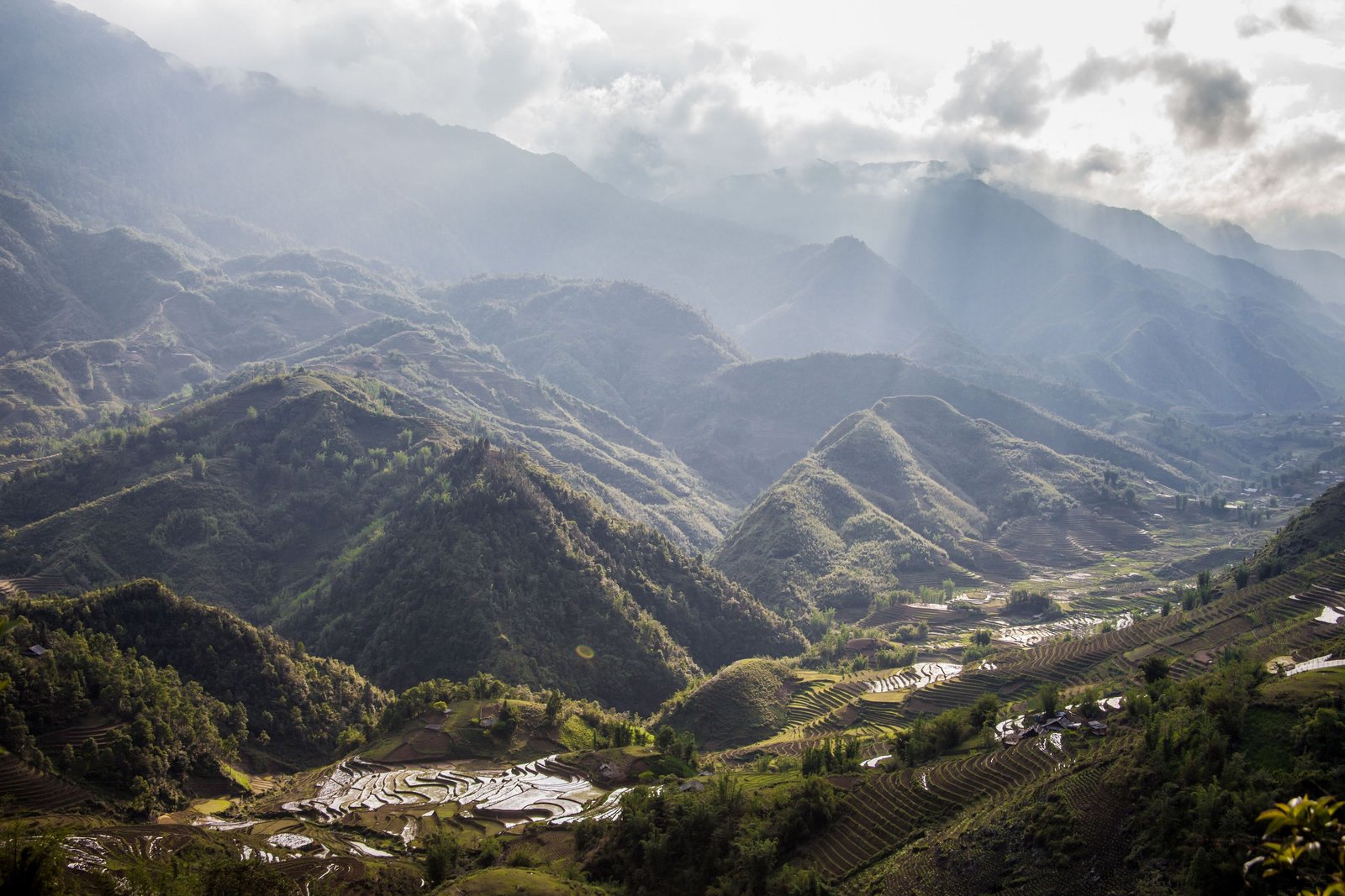 Terraced rice fields cascading through misty mountains near Lào Cai