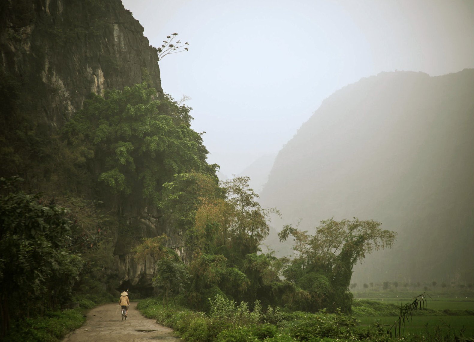 A cyclist riding past limestone karst cliffs in Ninh Bình